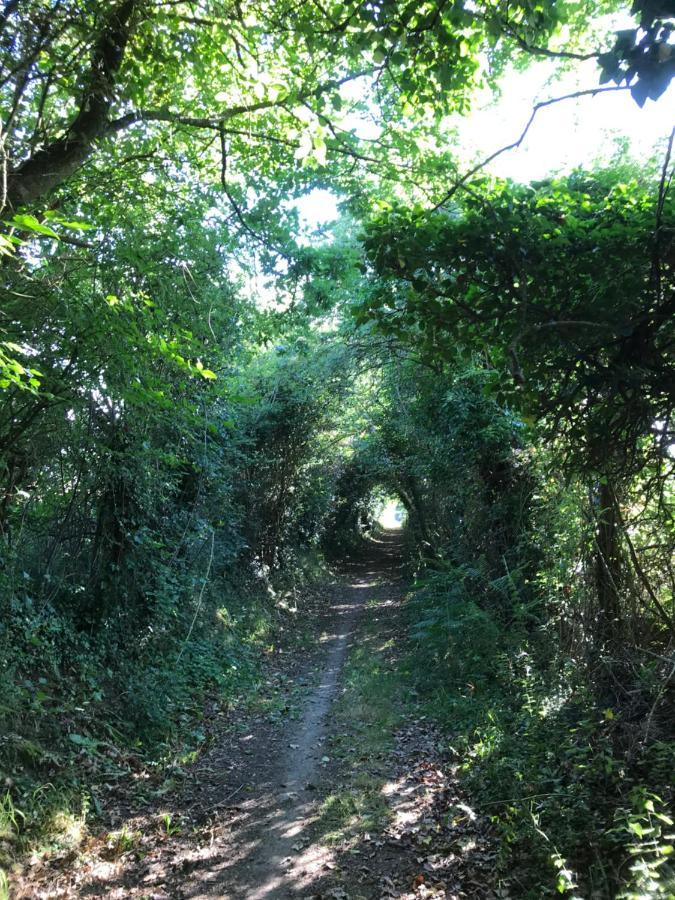 La Paix, Gite Bucolique En Normandie Condé-sur-Noireau 外观 照片